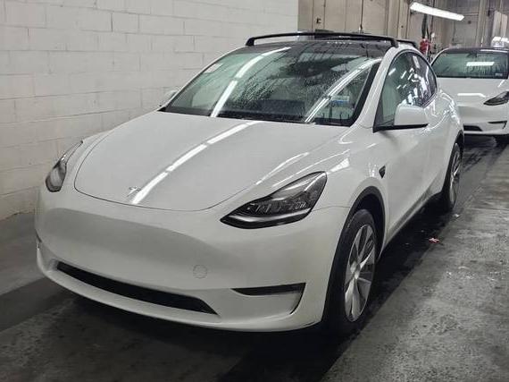 TESLA MODEL Y 2023 7SAYGDEE8PF604565 image